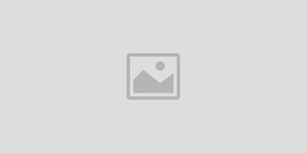 Techniplex Admin Panel promo